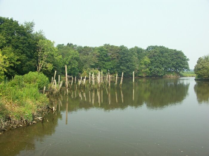 Click to See Next Image