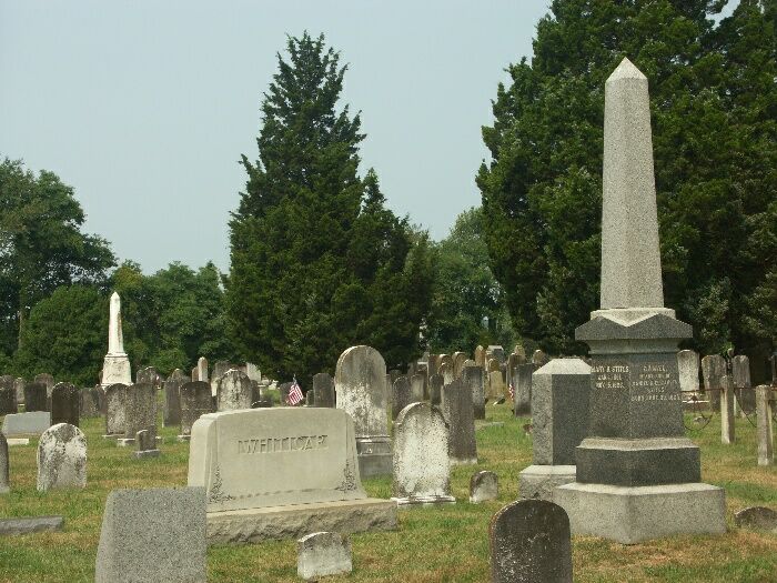 Click to See Next Image