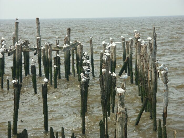 Click to See Next Image