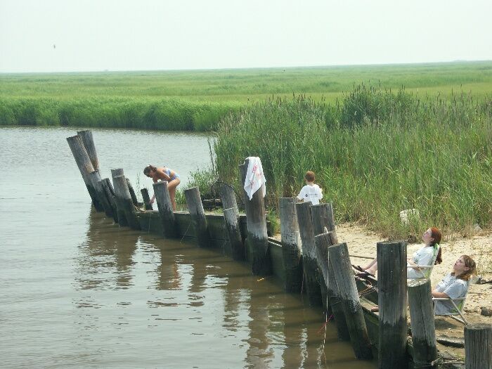 Click to See Next Image