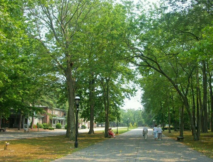 Click to See Next Image