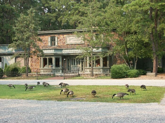 Click to See Next Image