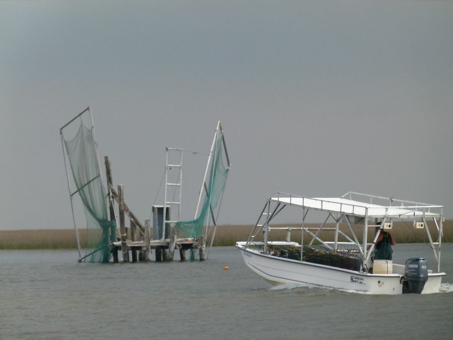 Click to See Next Image