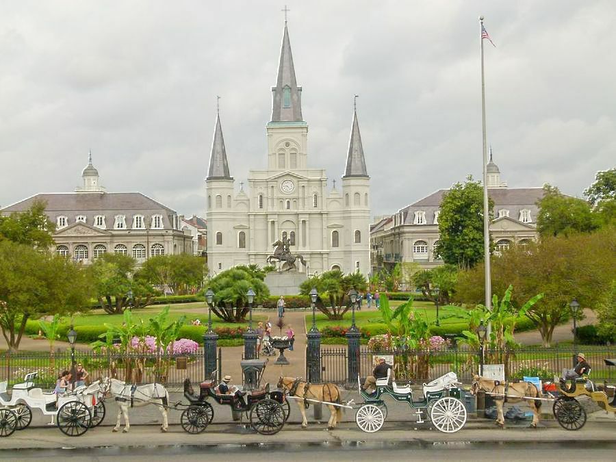 Click to See Next Image