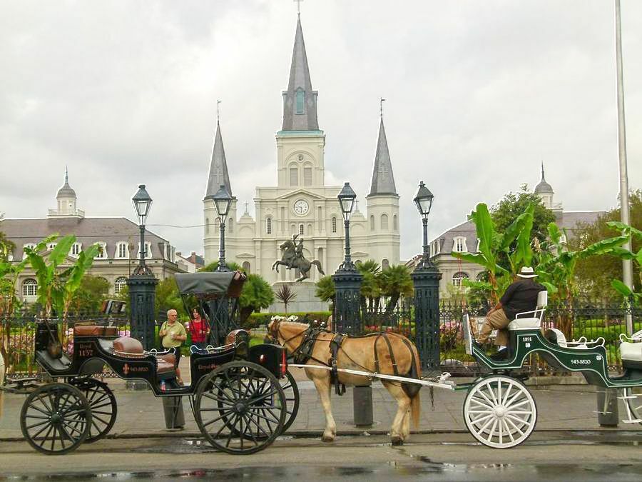 Click to See Next Image