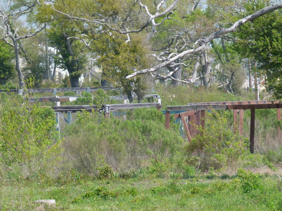 Click to See Next Image