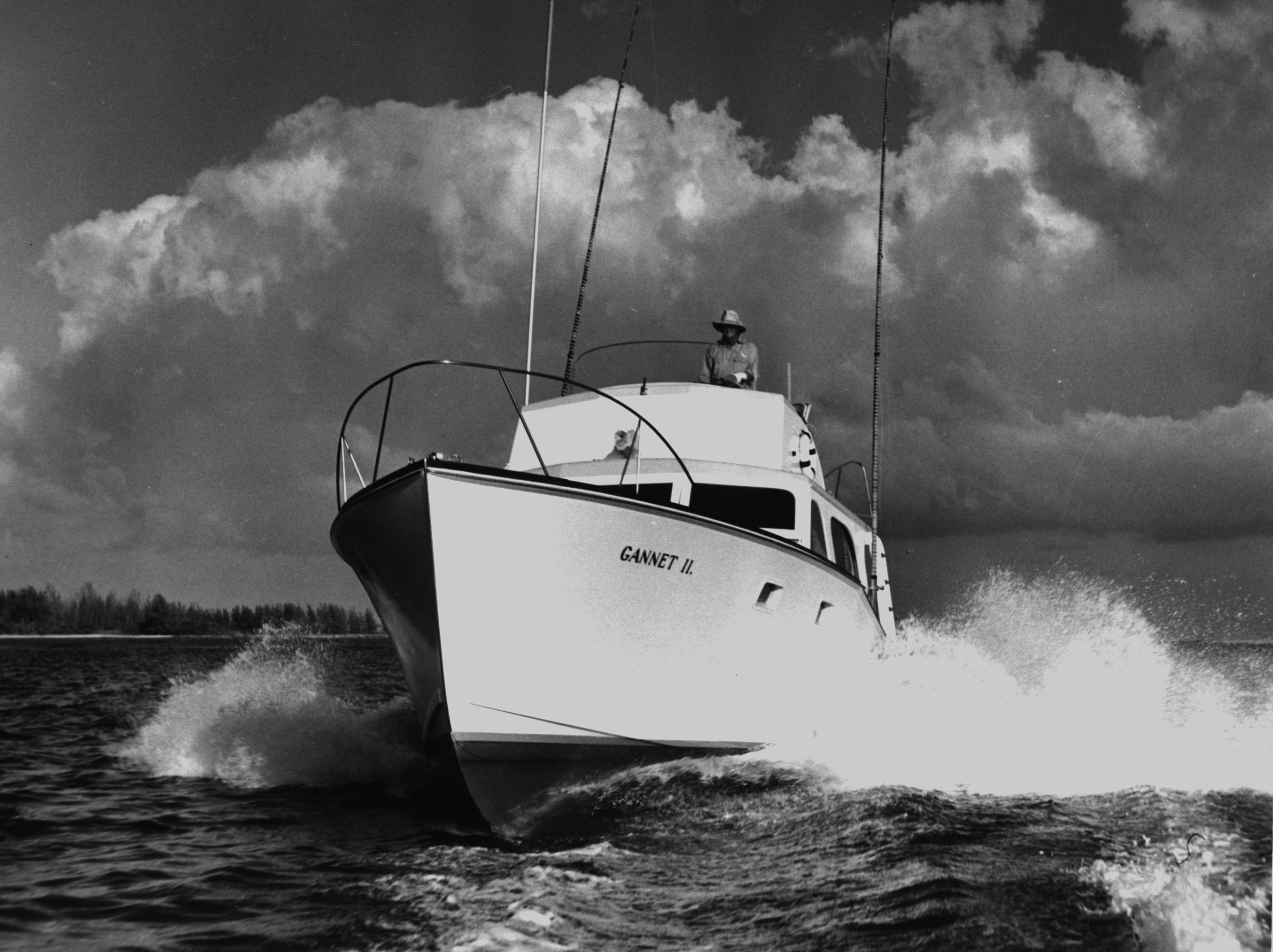 Click to See Next Image