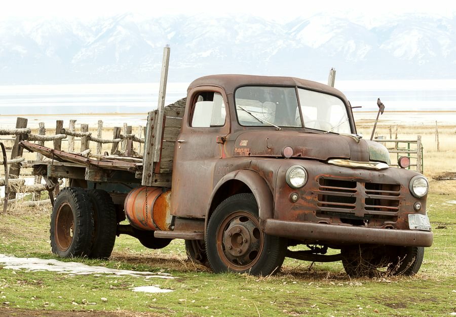 Click to See Next Image