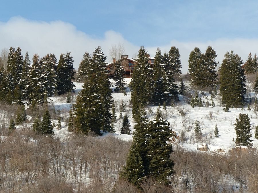 Click to See Next Image