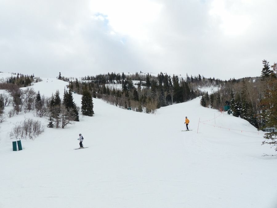 Click to See Next Image