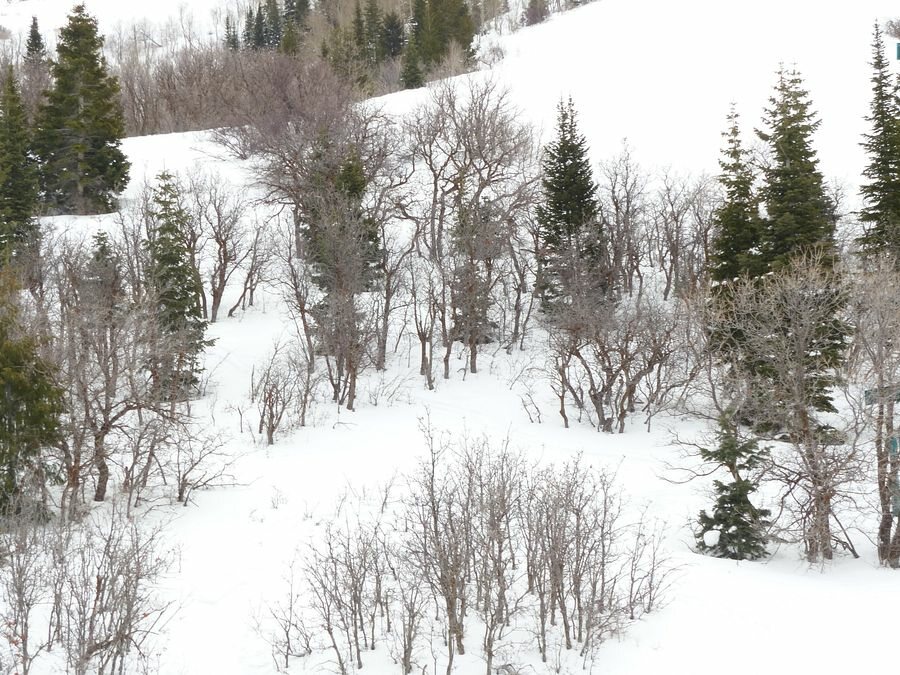 Click to See Next Image