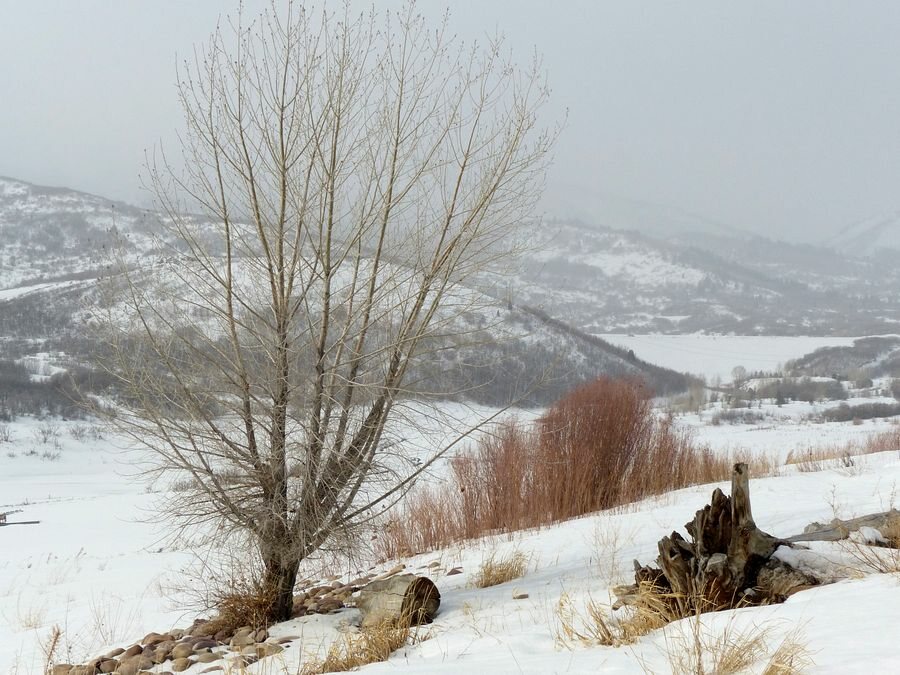 Click to See Next Image