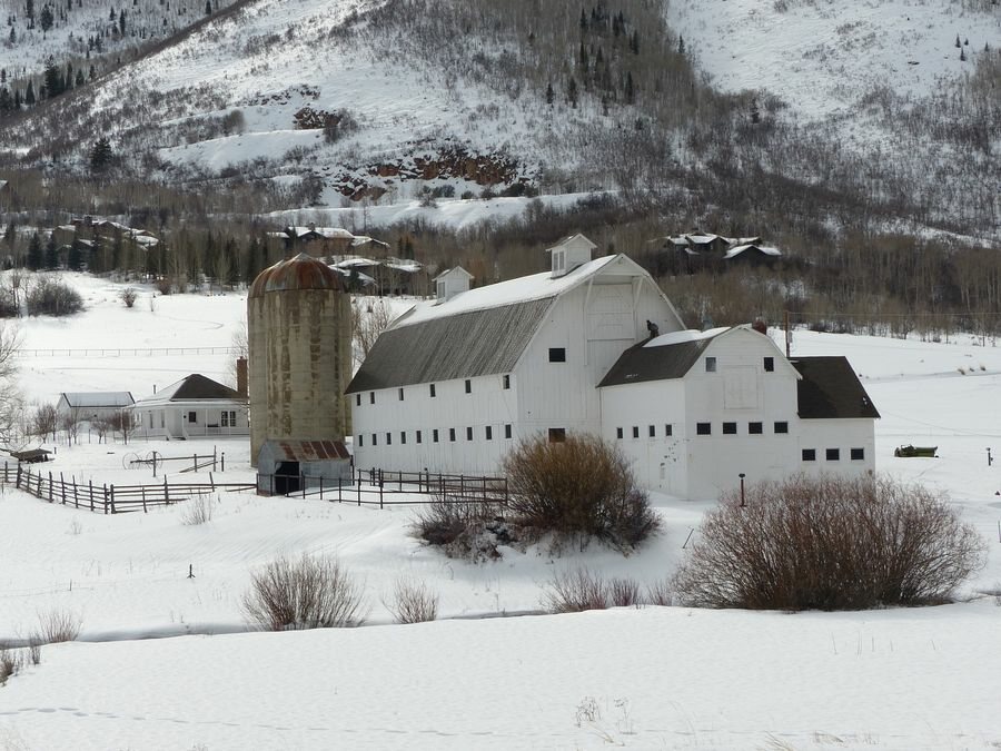 Click to See Next Image