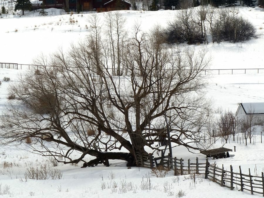 Click to See Next Image