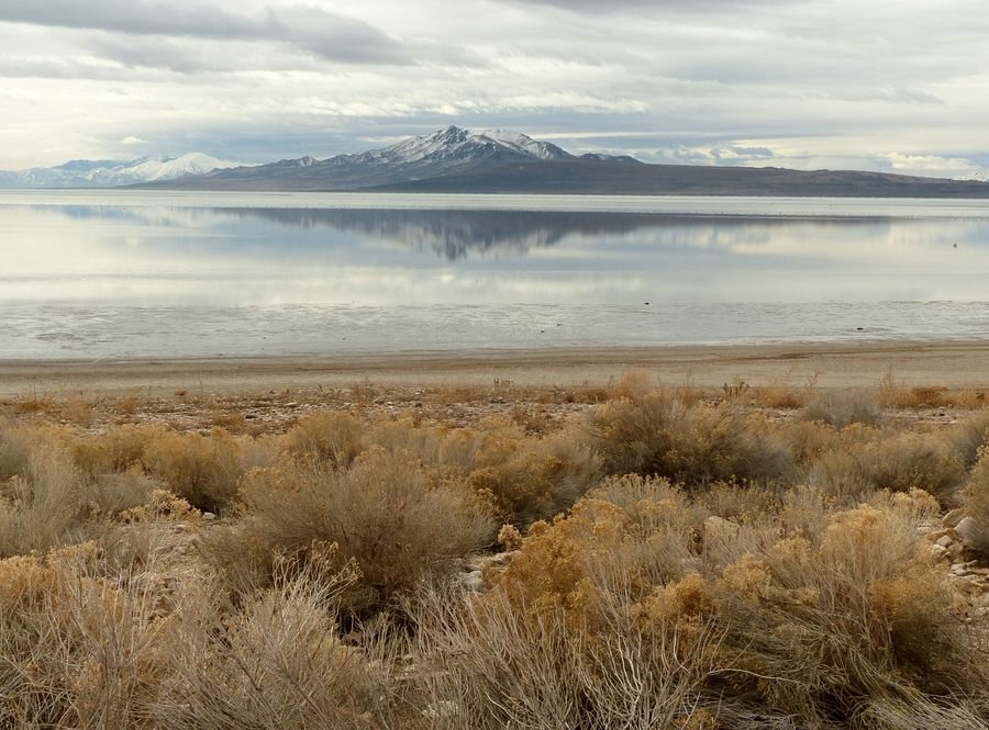 Click to See Next Image