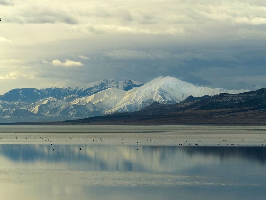 Click to See Next Image