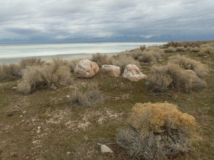 Click to See Next Image