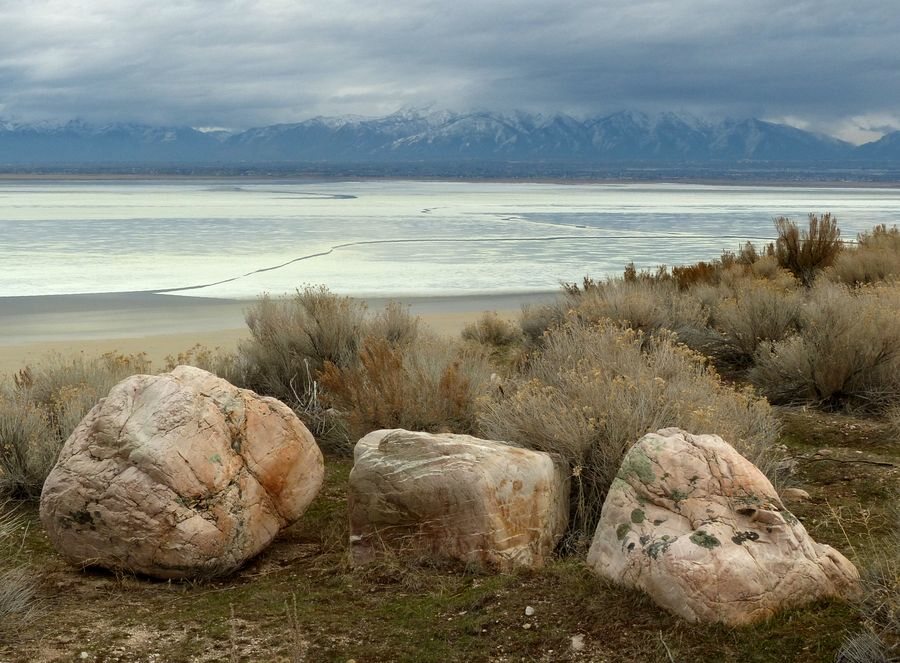 Click to See Next Image