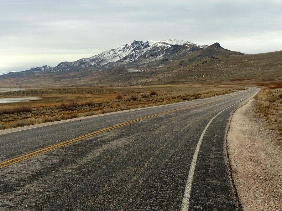 Click to See Next Image