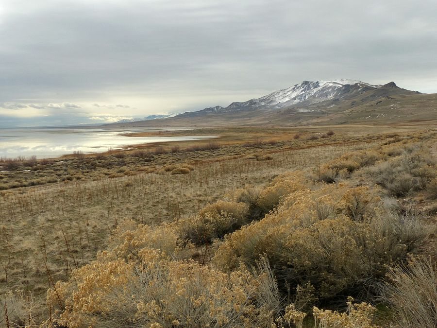 Click to See Next Image