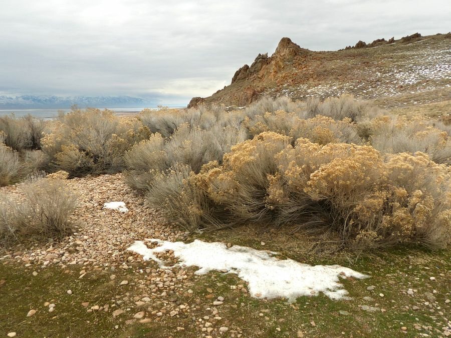 Click to See Next Image