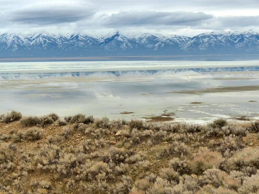 Click to See Next Image