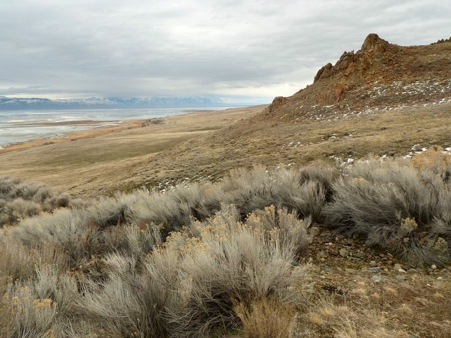 Click to See Next Image