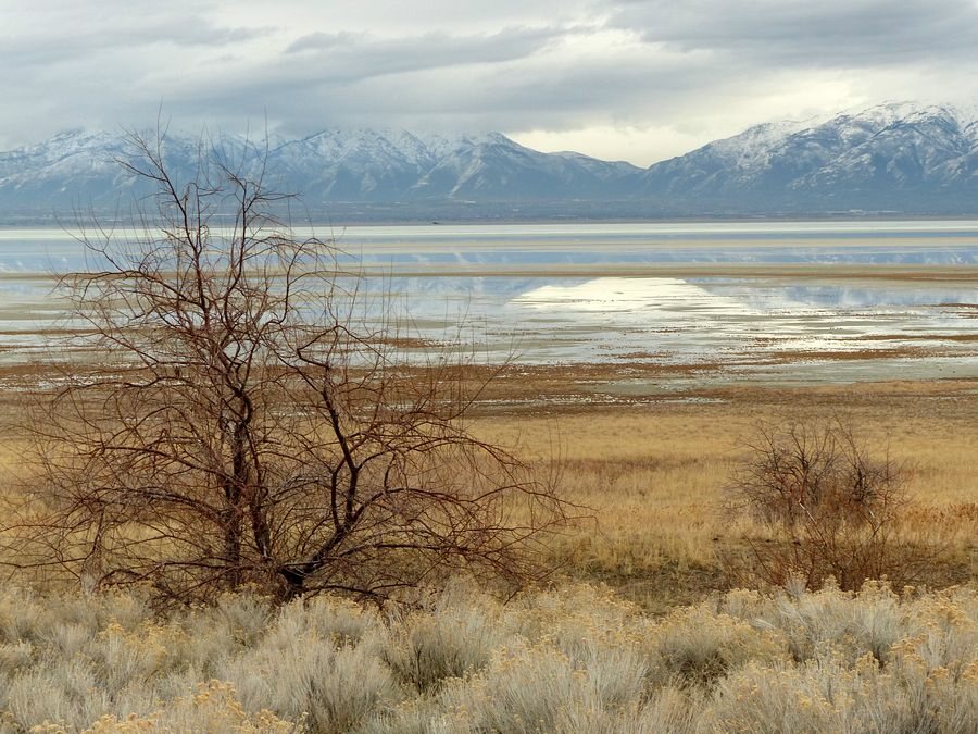 Click to See Next Image