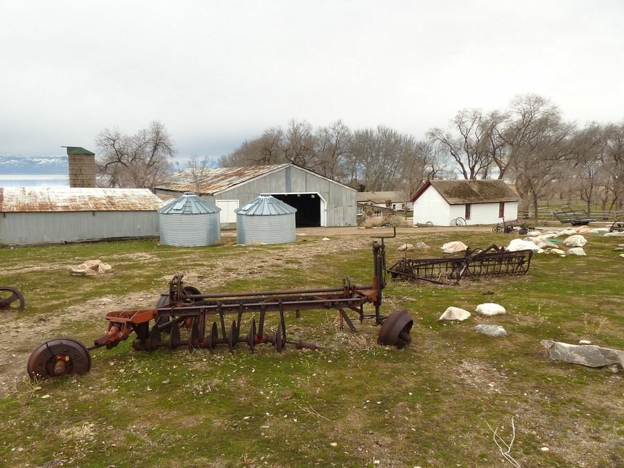 Click to See Next Image