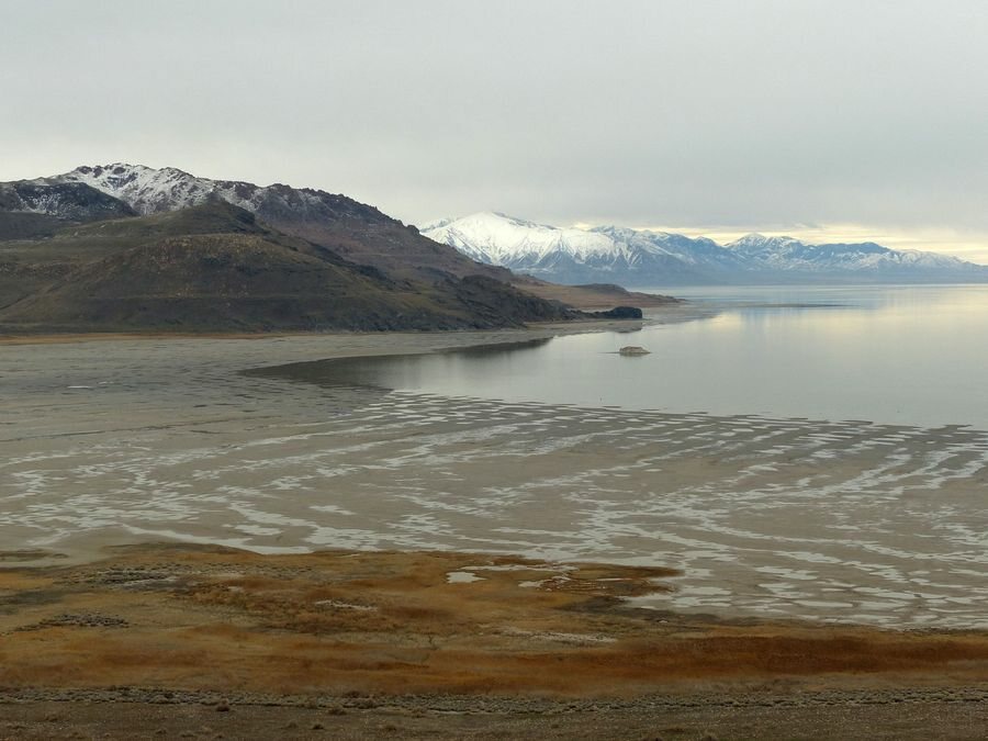 Click to See Next Image