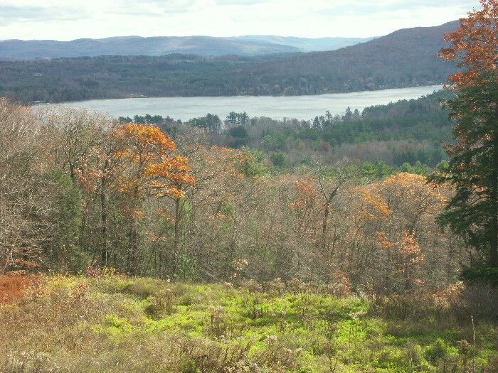 Click to See Next Image