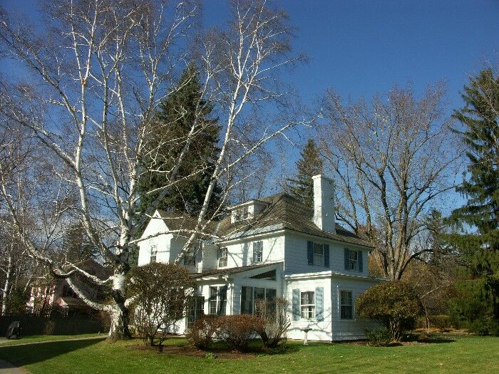 Click to See Next Image