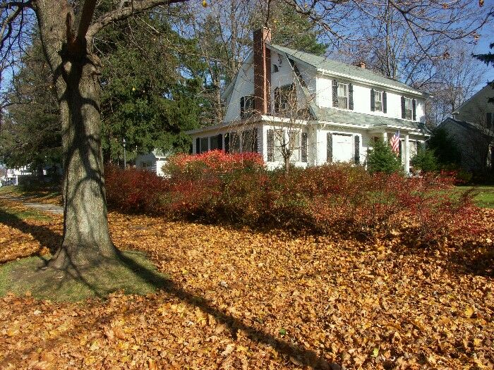 Click to See Next Image