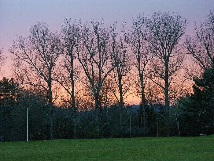 Click to See Next Image