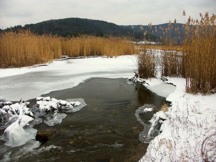 Click to See Next Image