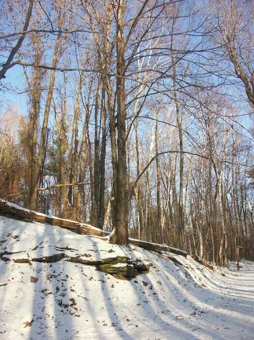 Click to See Next Image