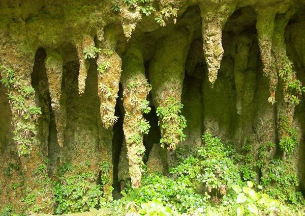 Click to See Next Image