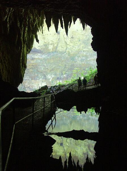 Click to See Next Image