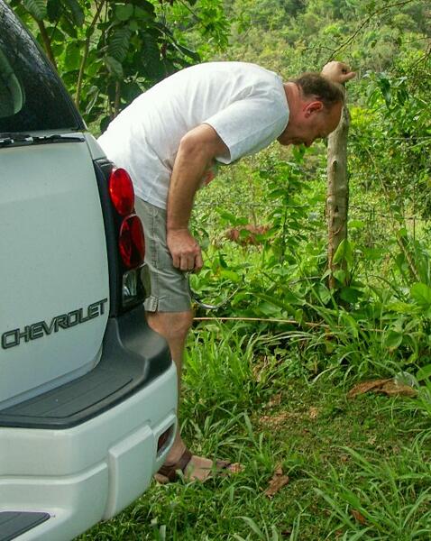 Click to See Next Image