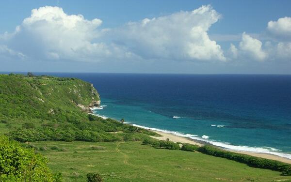 Click to See Next Image