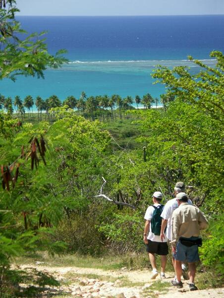 Click to See Next Image