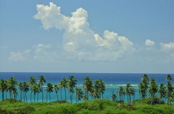 Click to See Next Image