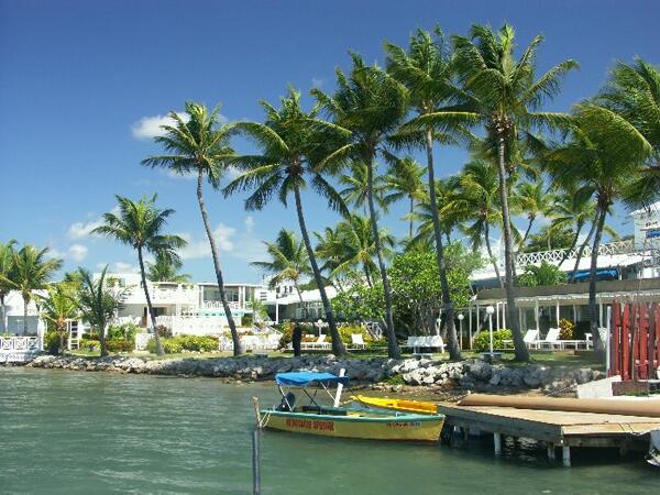 Click to See Next Image