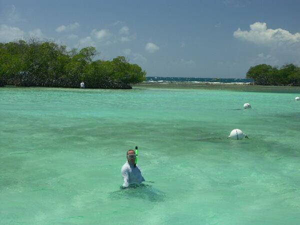 Click to See Next Image