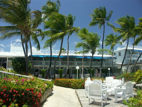 Click to See Next Image