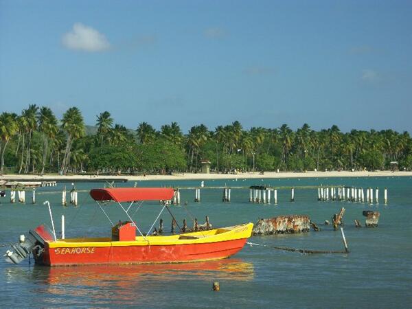 Click to See Next Image