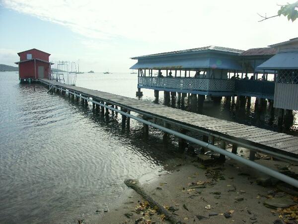 Click to See Next Image