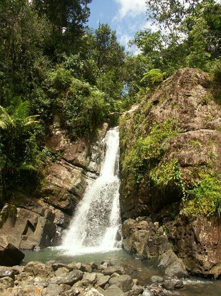 Click to See Next Image