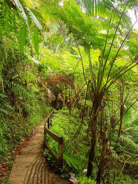 Click to See Next Image