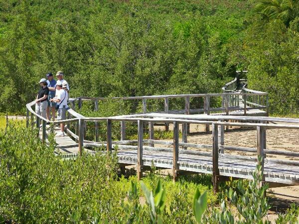 Click to See Next Image